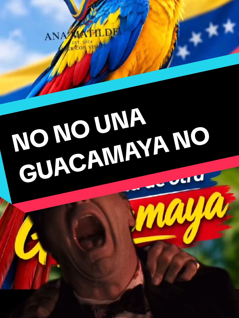 @CHOMPIRO50