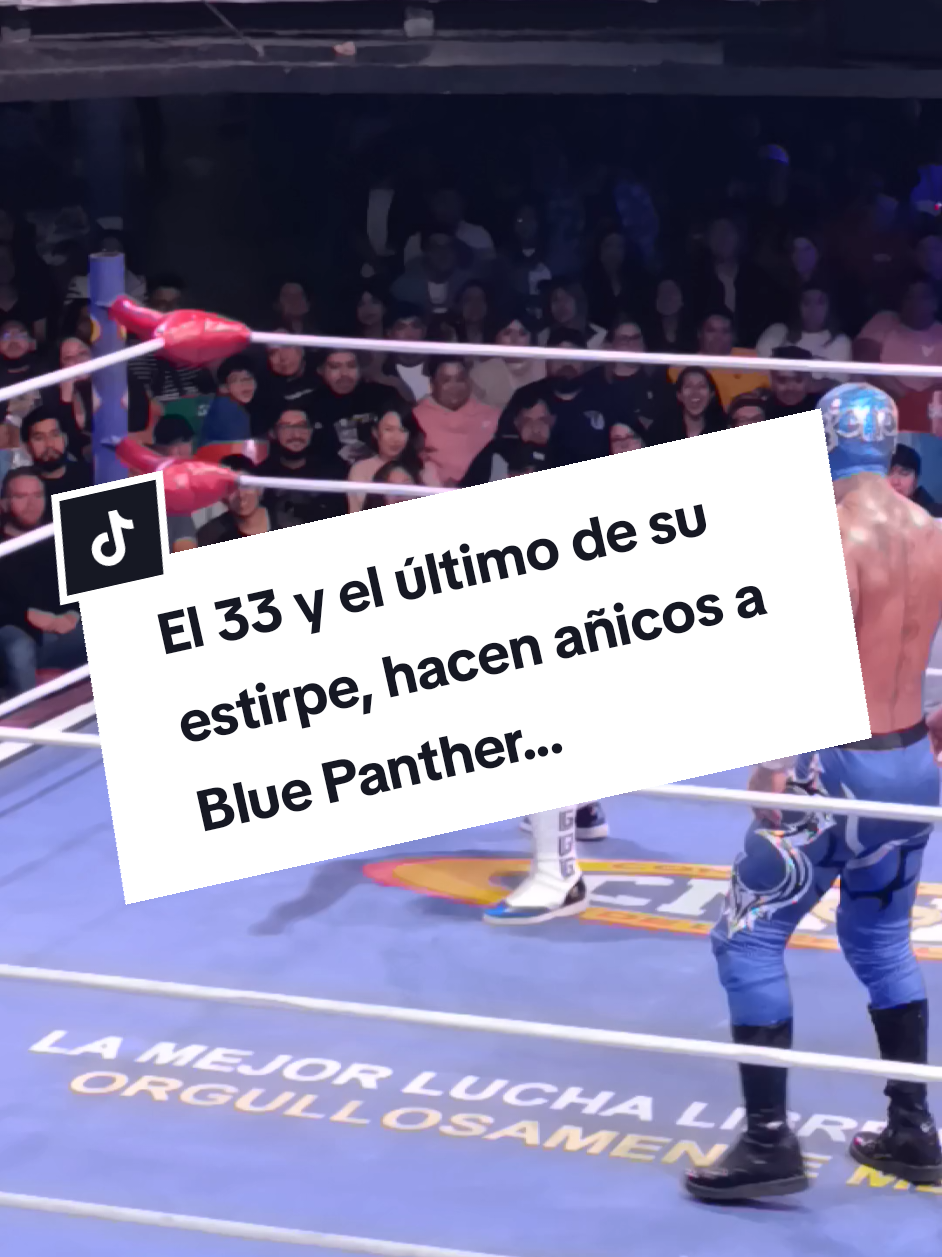 @Damas&Gladiadores Lucha Libre