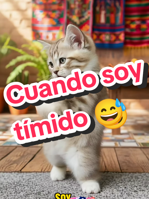 @J-O-S-U-E-N-O-E-L