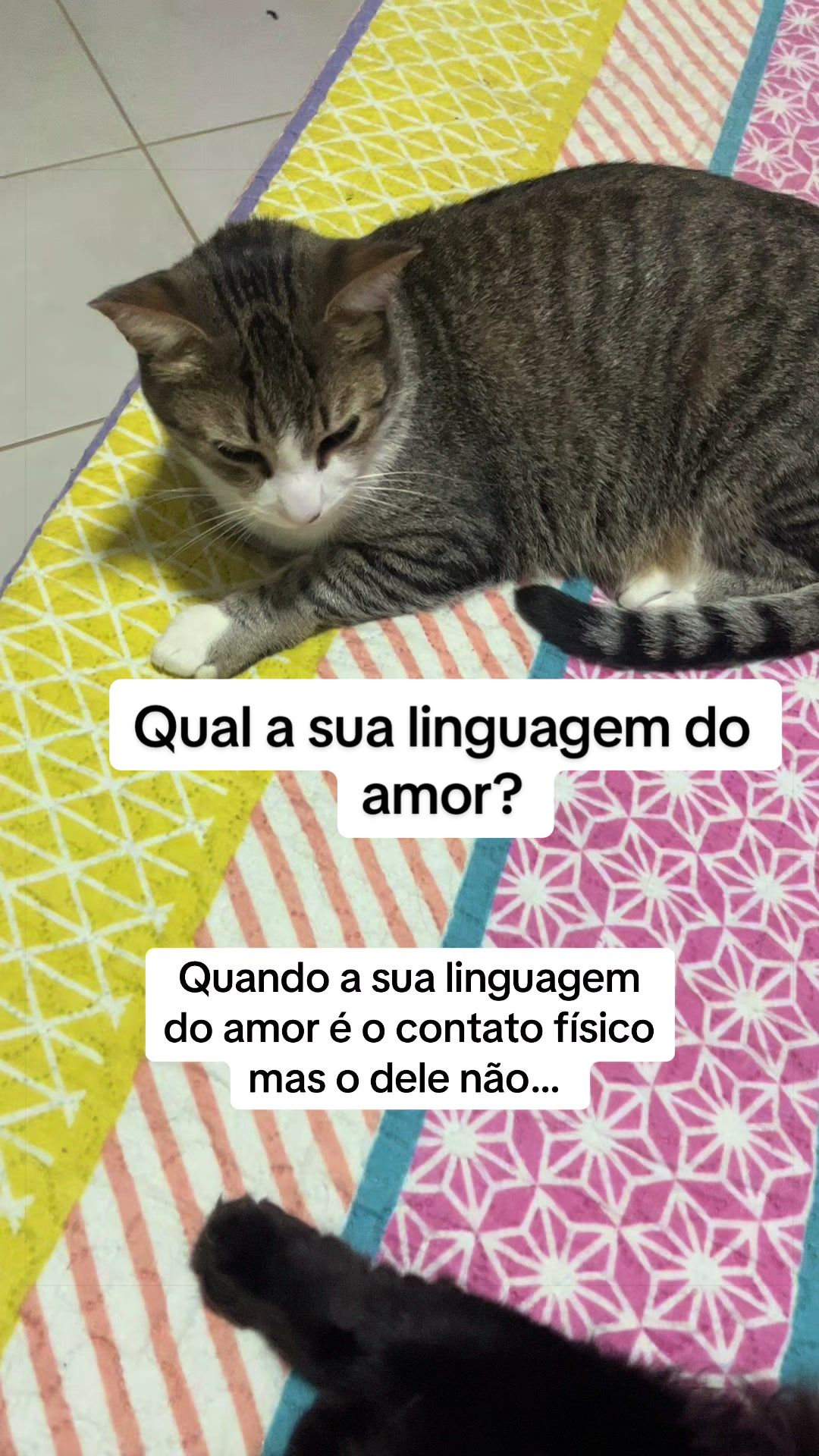 @Mariana Matos ✨