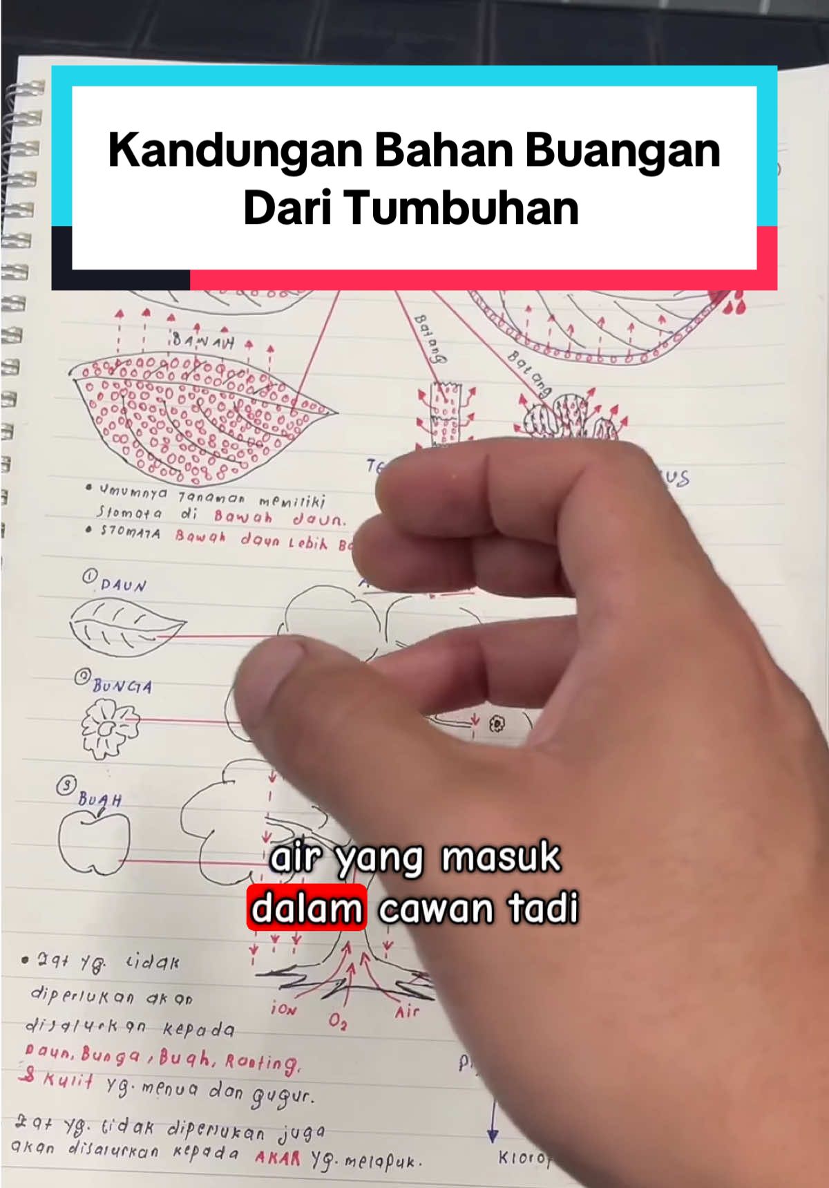 @Izat Aizie