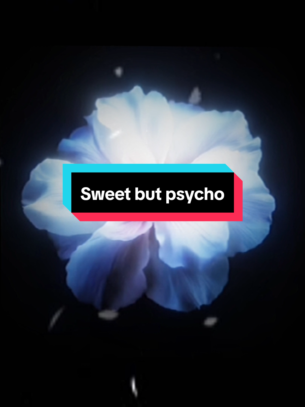 @๐๐๐ ๐๐ข๐ค๐๐ฒโ