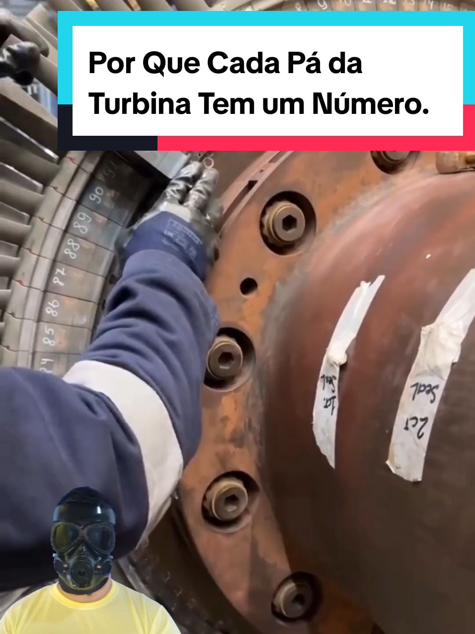@Mundo da Curiosidades