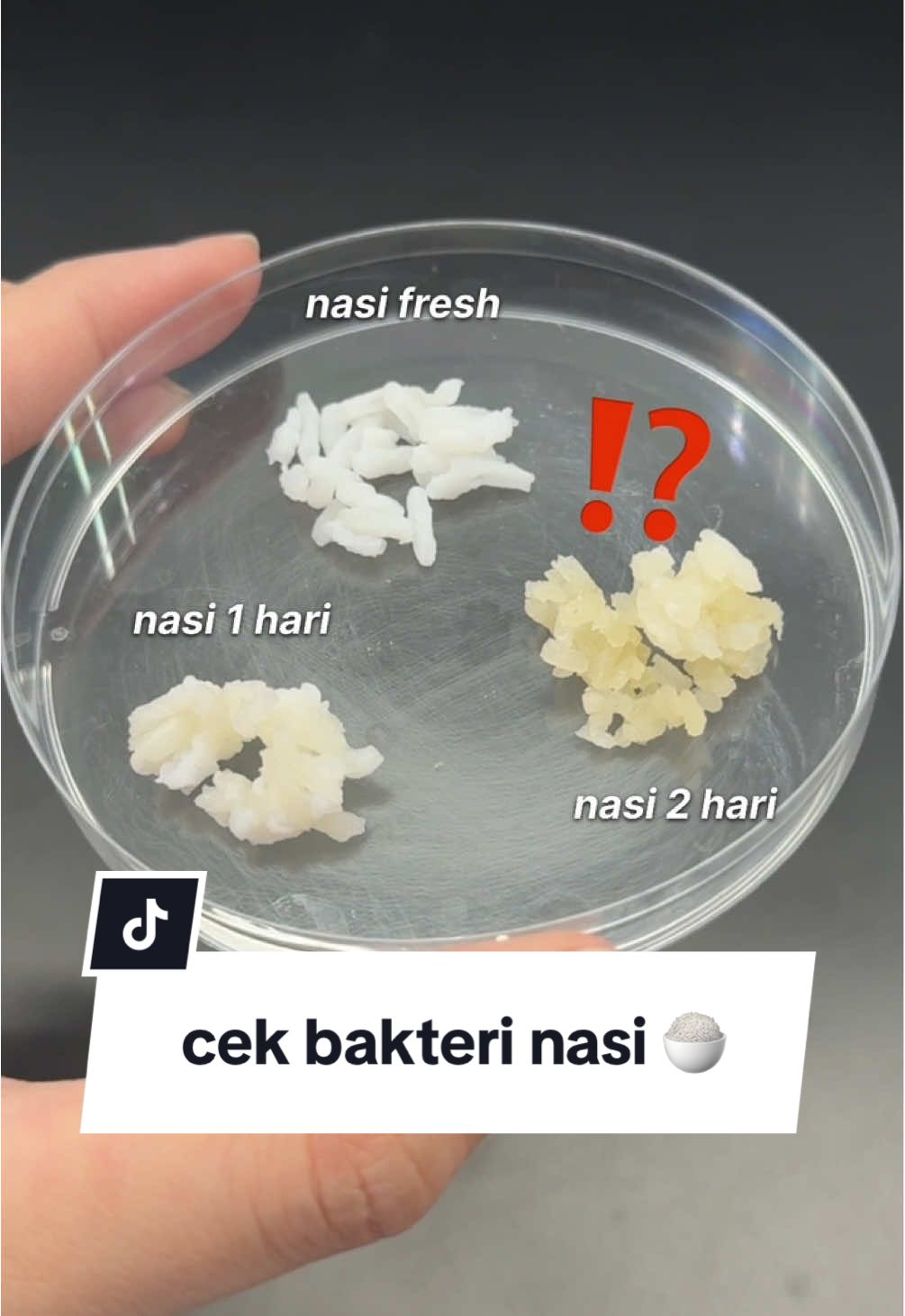 @andrea👩🏻🔬