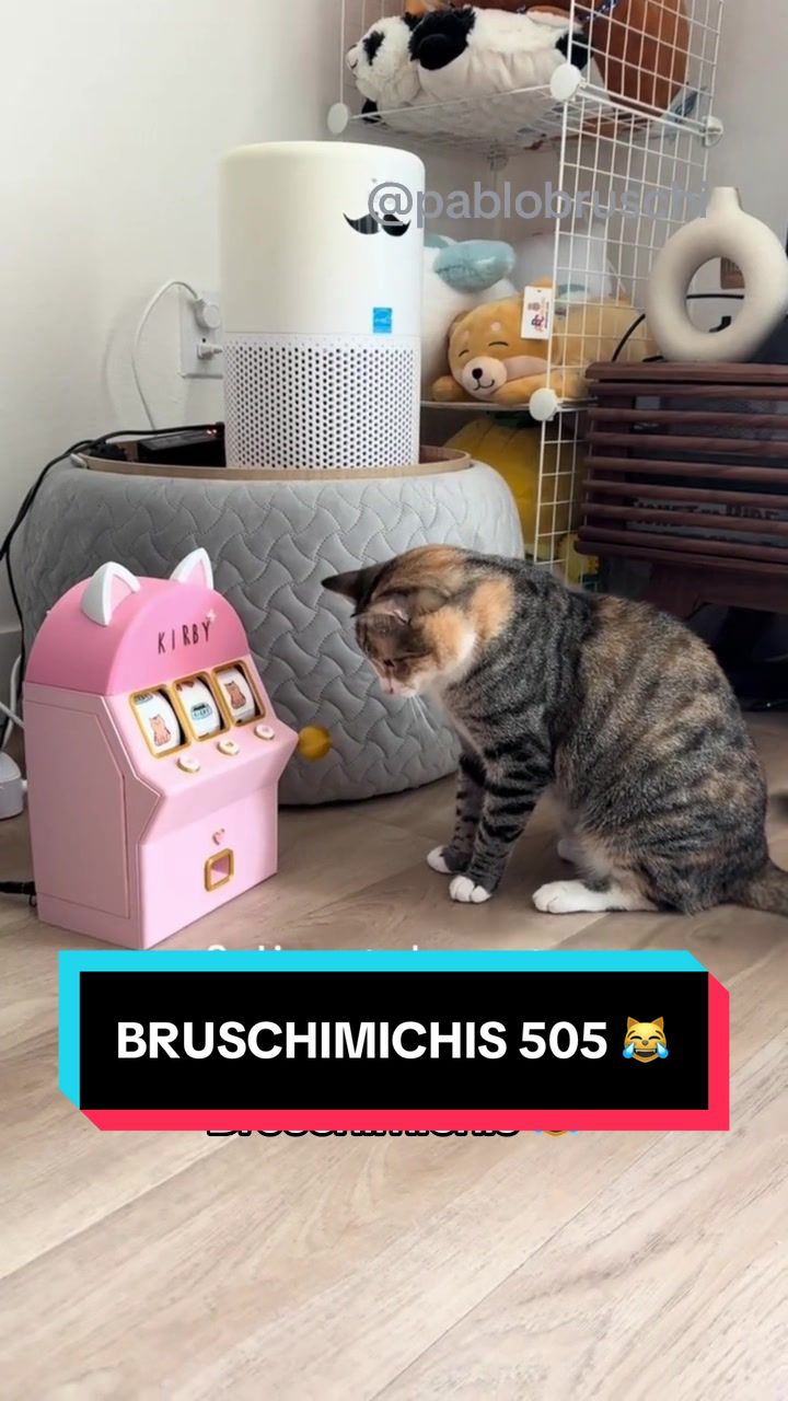 @Pablo Bruschi