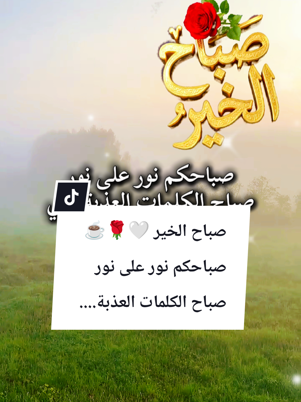 @🌟𝗦𝗼𝘂𝘇𝗮𝗻 𝗖𝗵𝗮𝗺𝘀