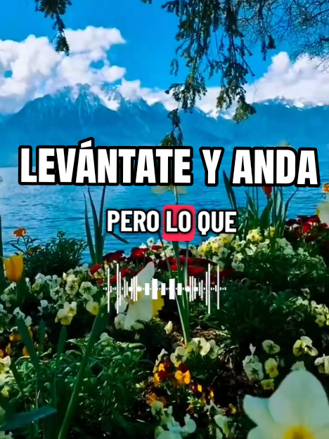 @Herminia Gonz&aacute;lez.