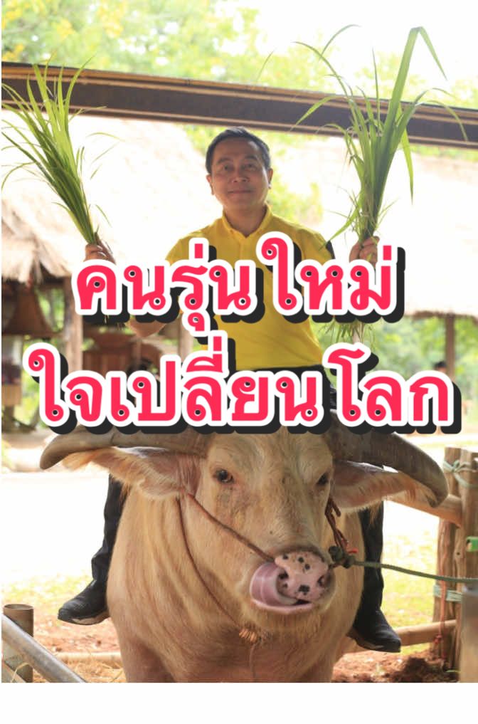 @DanaiChanchaochai