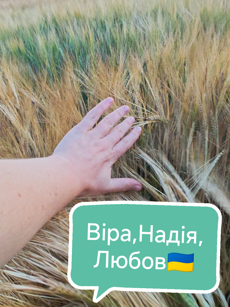 @Настуся
