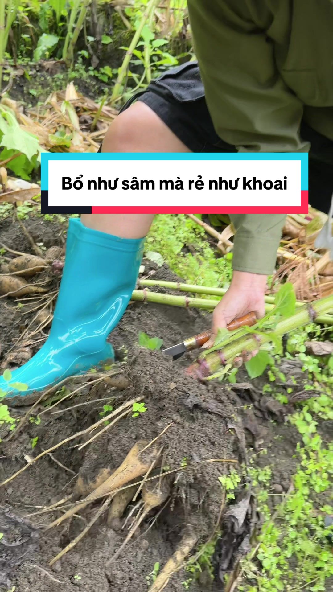 @Dung Nhây
