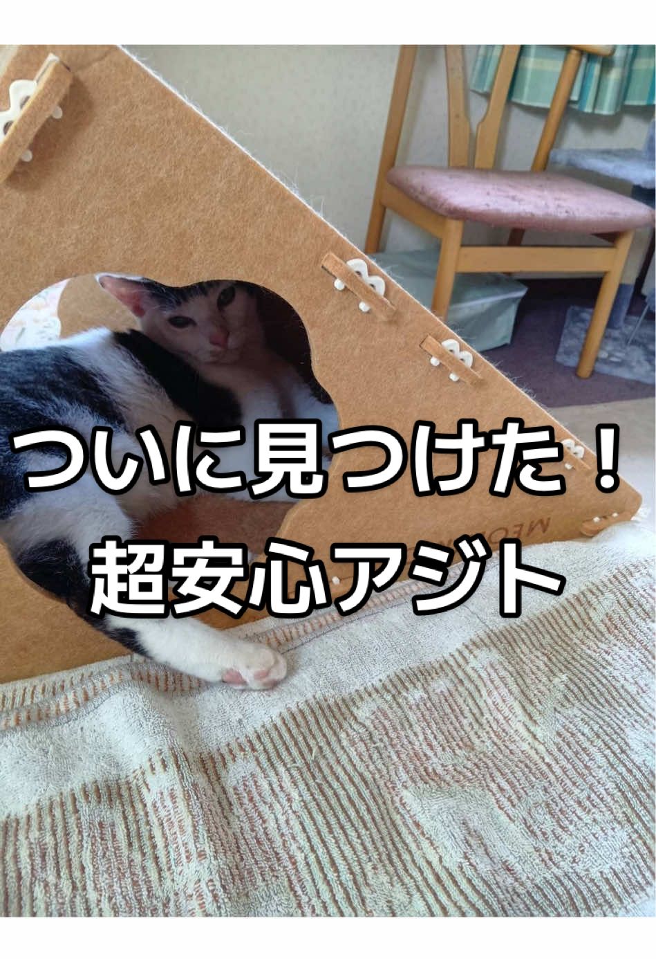 @ちょびみぃ兄弟❤︎🫧