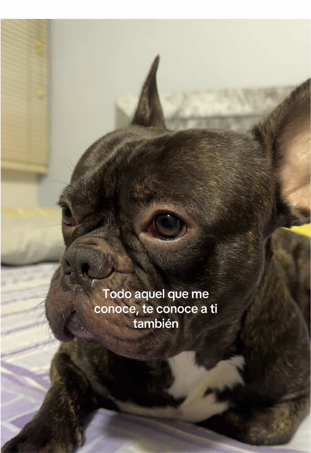 @Marianggela Marin
