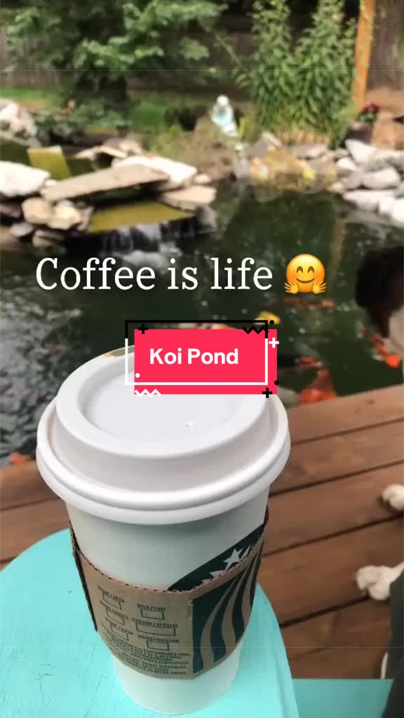 @Lady K 🇨🇦