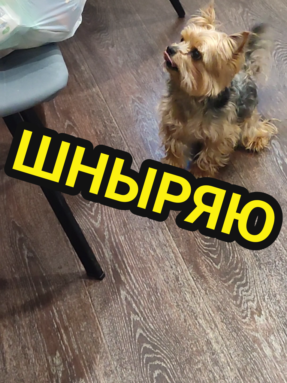 @🤟Веня Машаранский✌