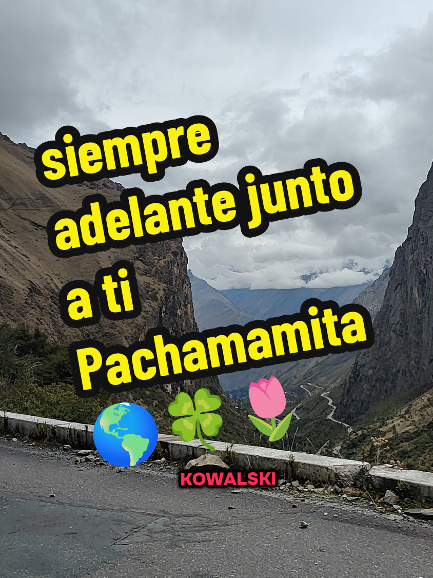 @Proyecto Pachamama, Te Sigue.