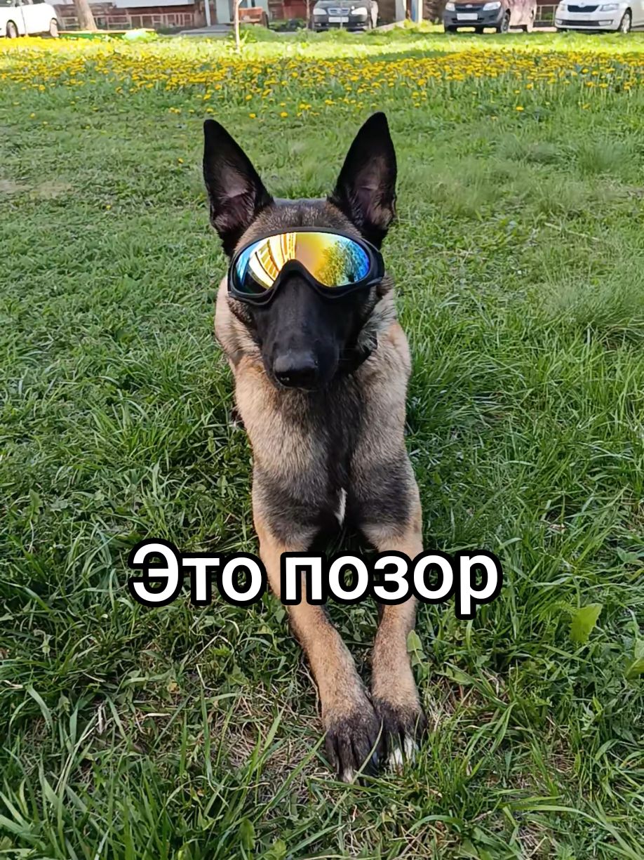 @⚡Кита from авито⚡