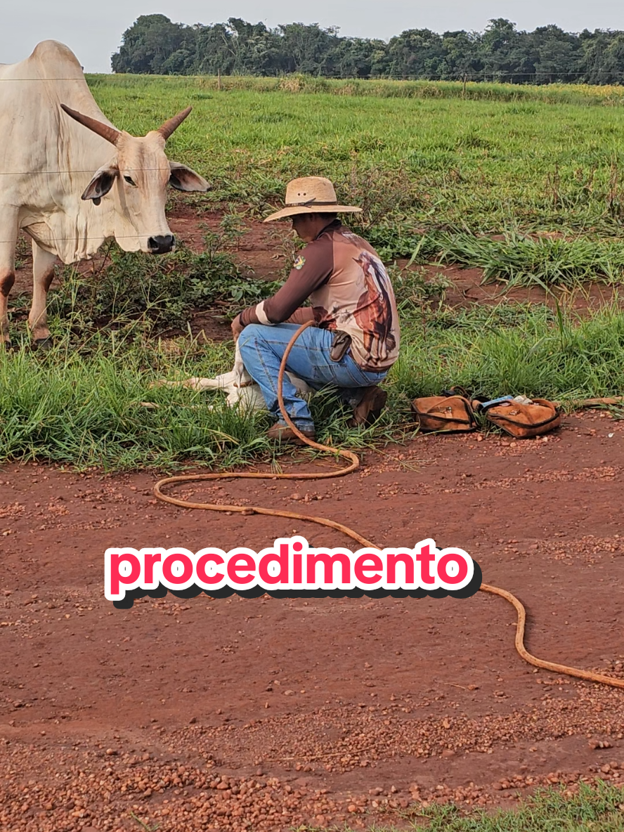 @Geovane neto