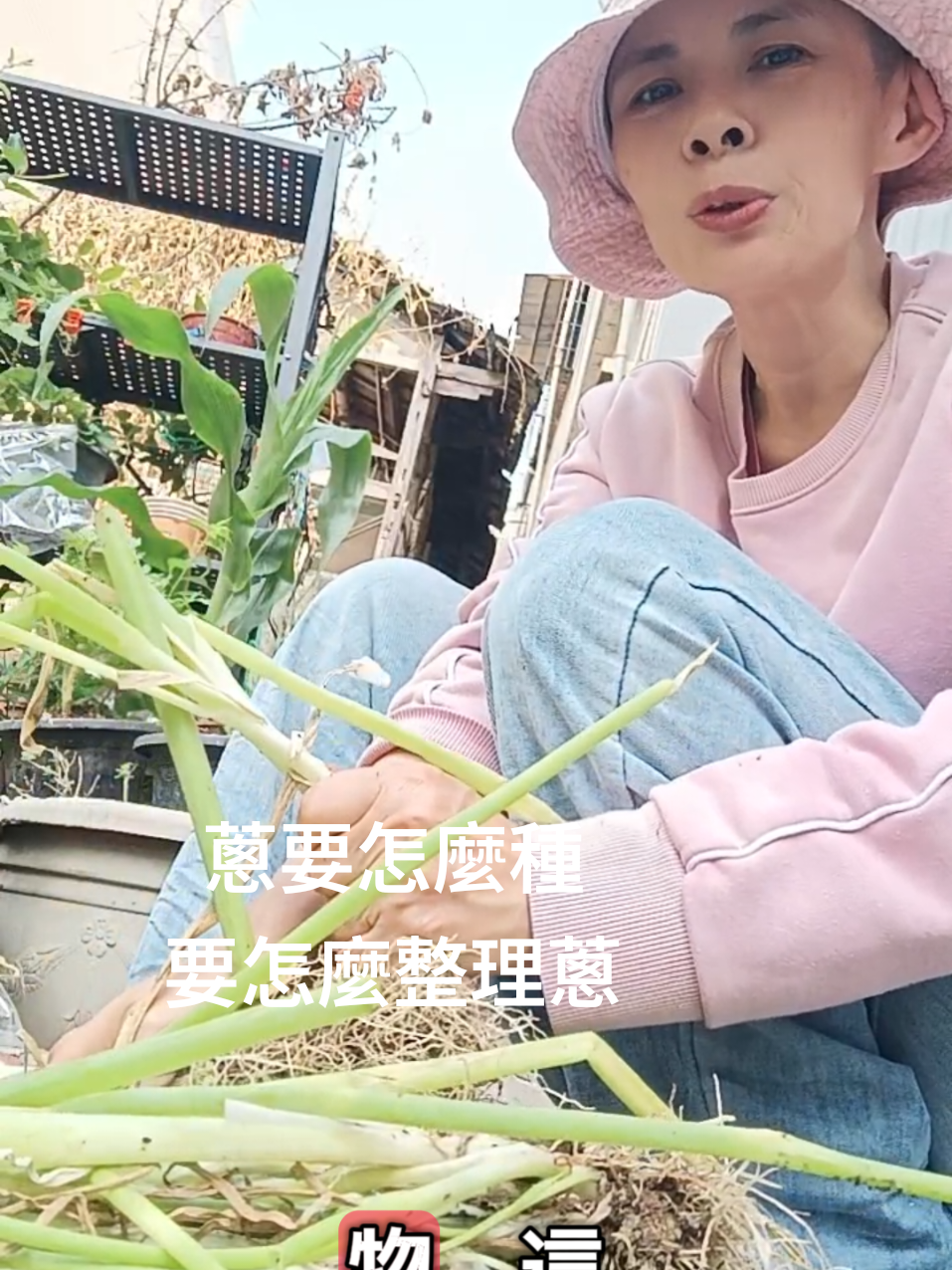 @大帳 姐