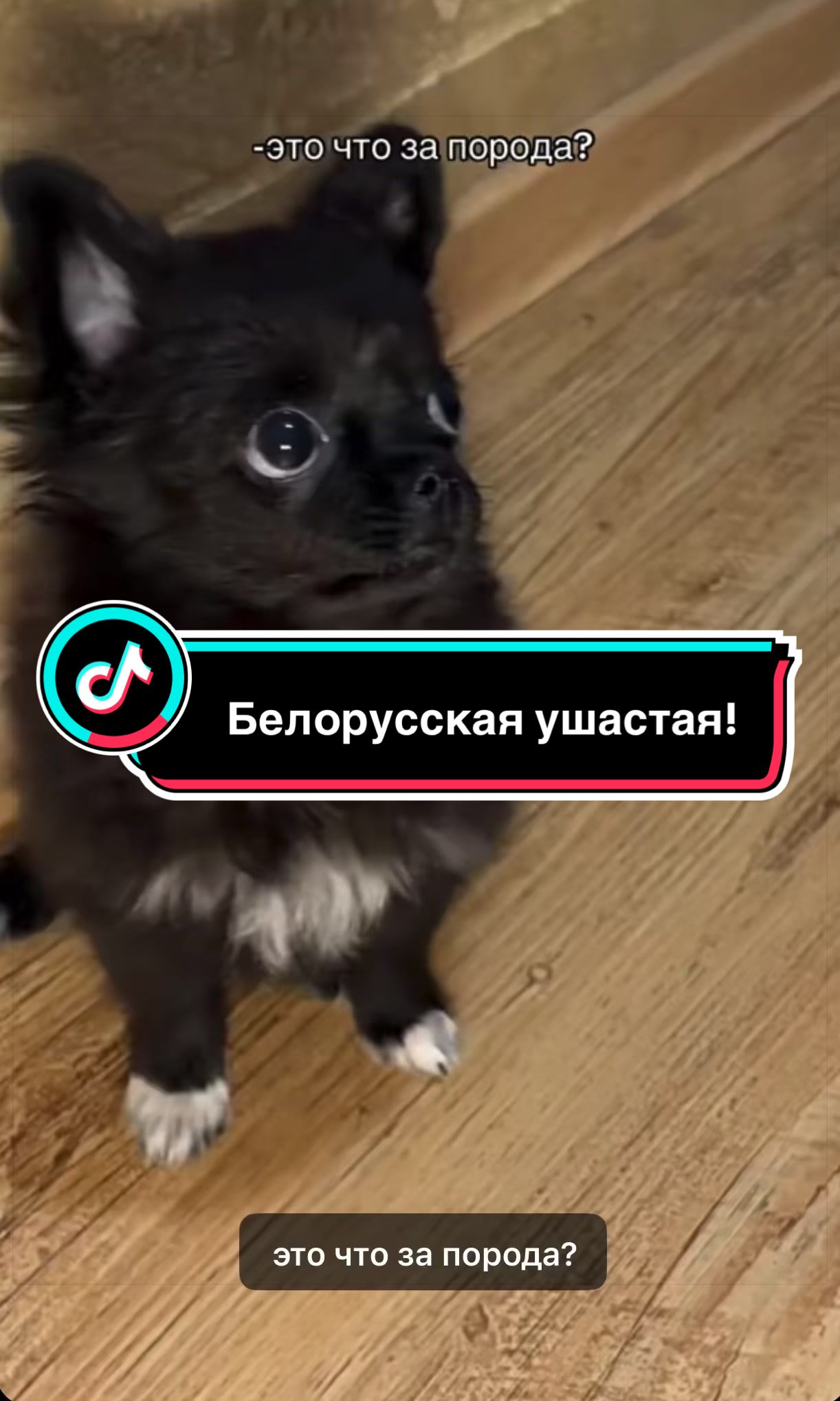 @Саня Пагон &clubs;️