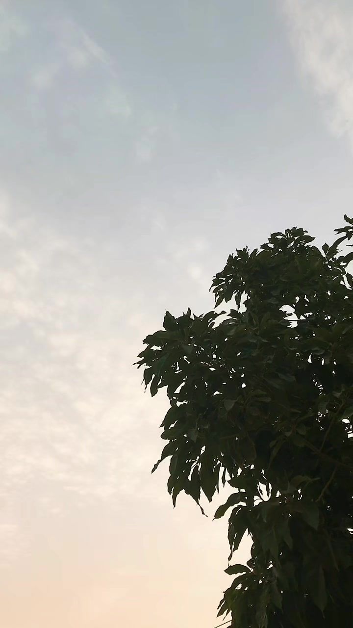 @⋆˚࿔𝐋𝐮𝐣𝐲 𝜗𝜚˚⋆