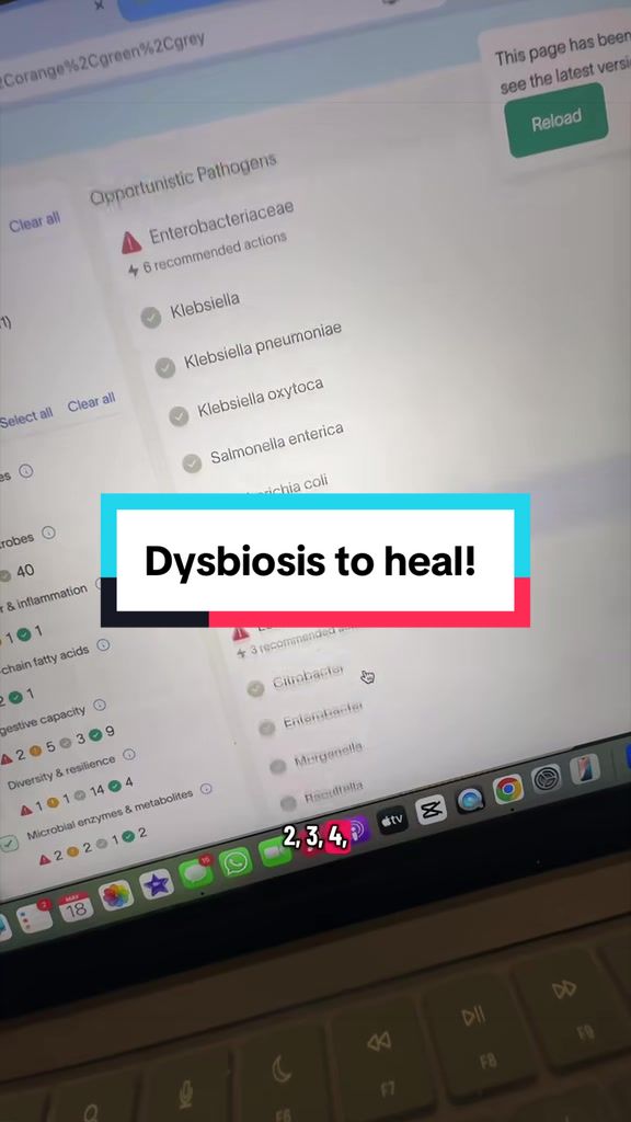 @Shaz | Gut Health Coach