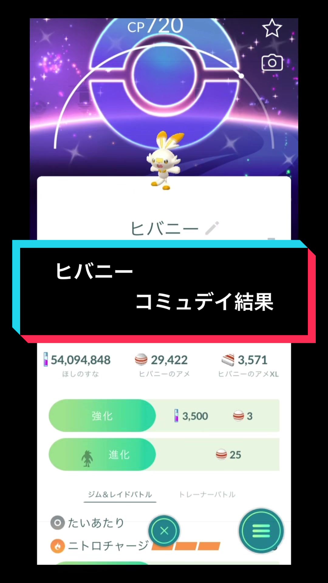 @たまご🥚