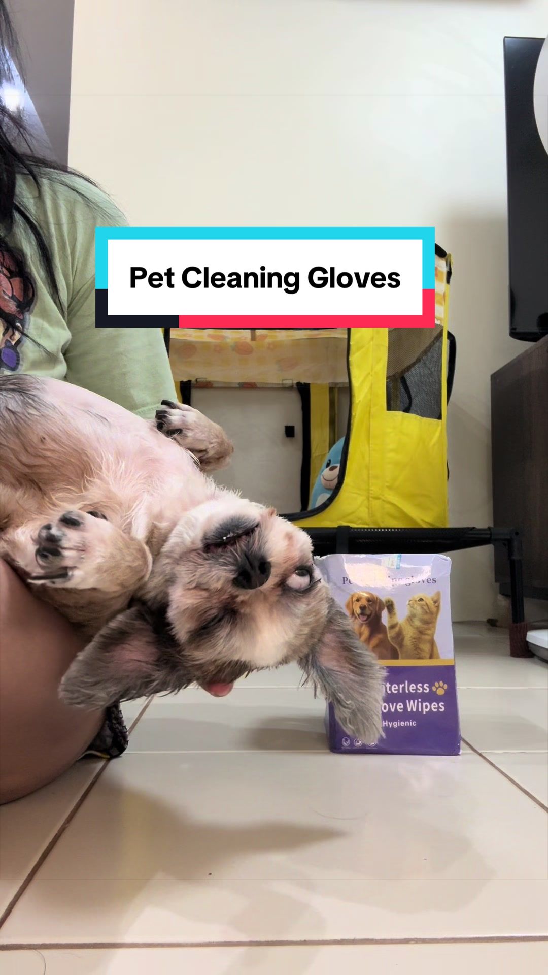 @Nella and Lucky the Shih🐶