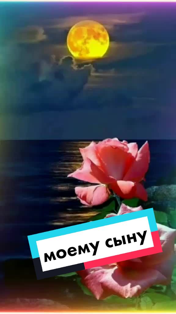 @Поздравления