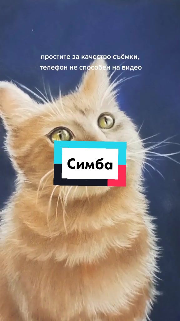 @Ирина Мезенцева