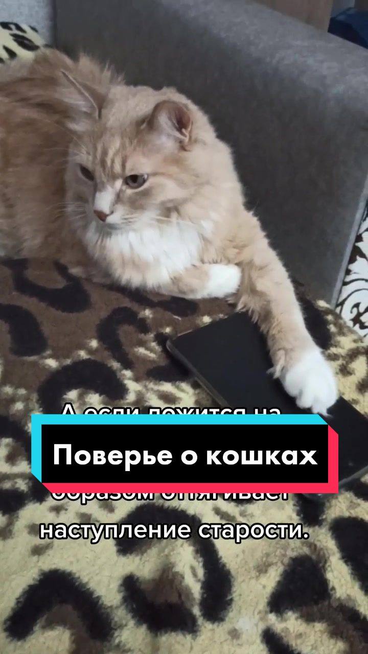 @leva.opakot