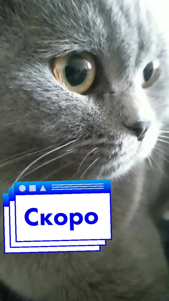 @user13819744735