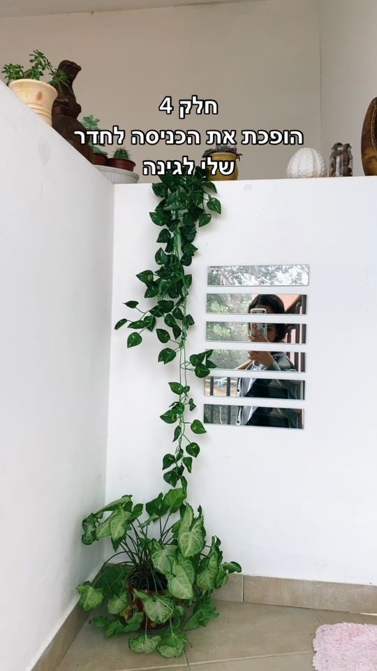 @סול גנילוין אמנית🌸