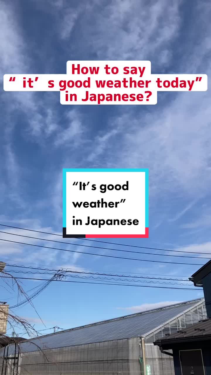 @mayuko_nihongo