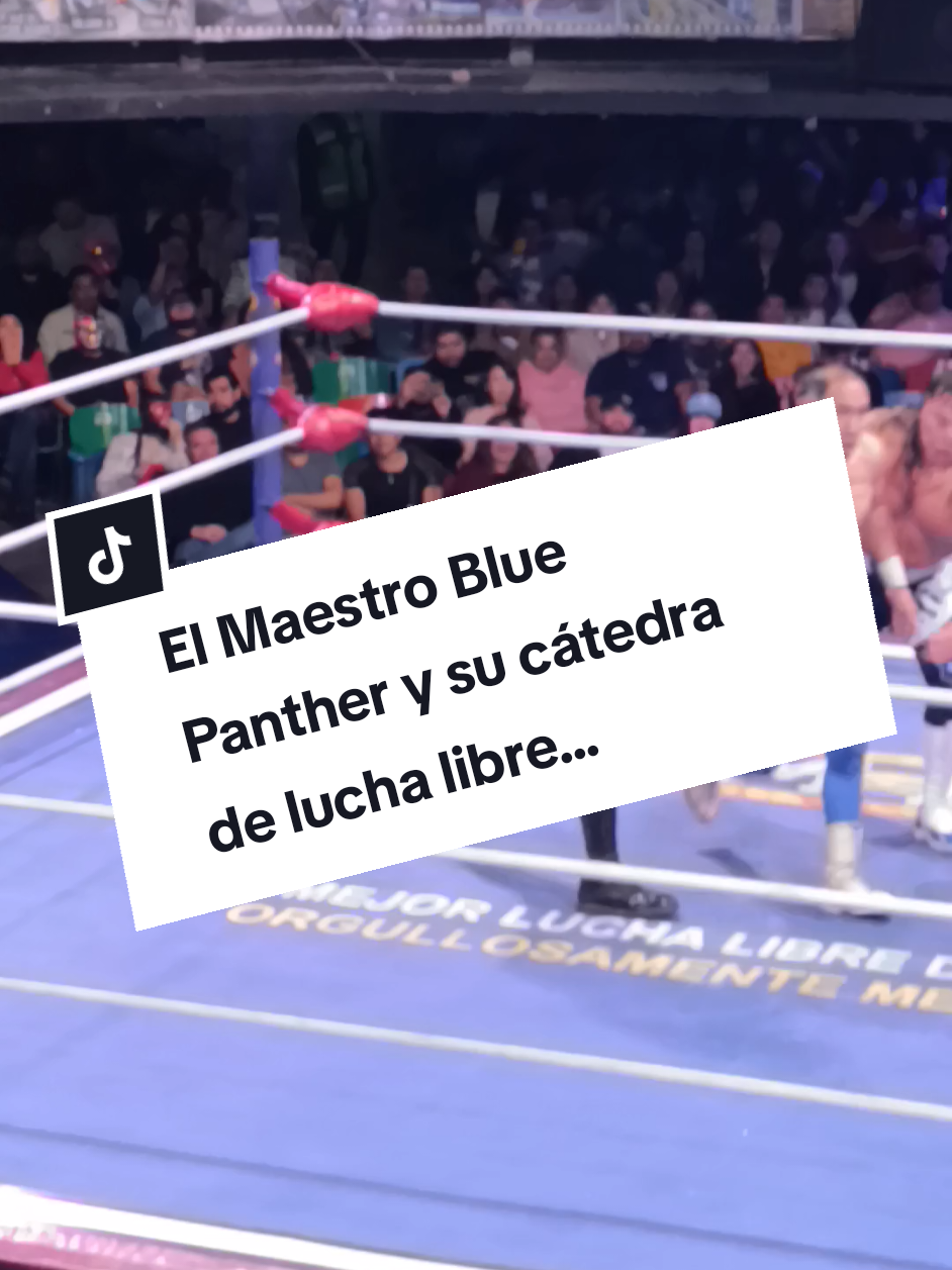 @Damas&Gladiadores Lucha Libre