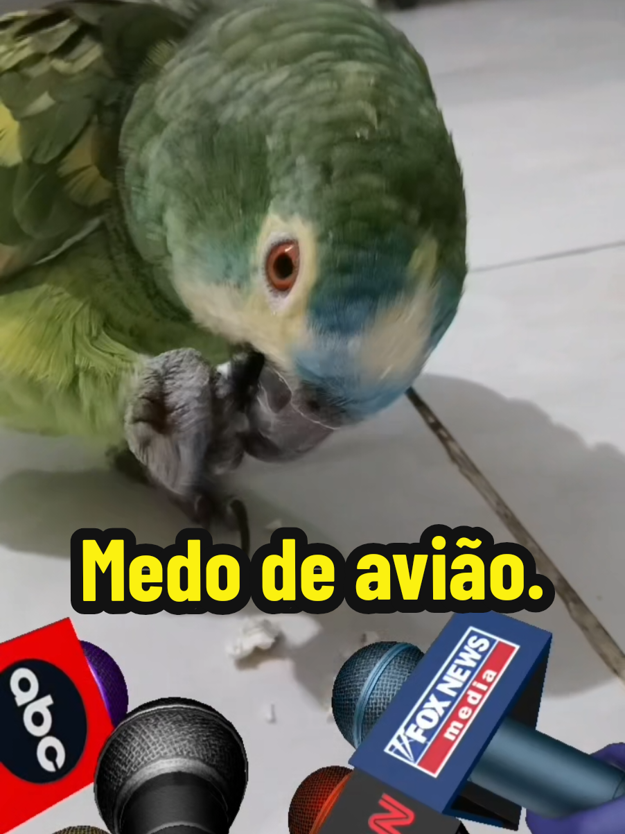@Papagaio Chico🌽🦜