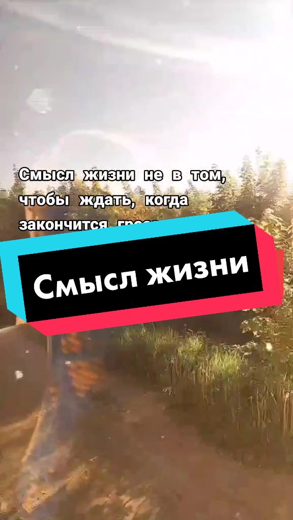 @user7842475404523