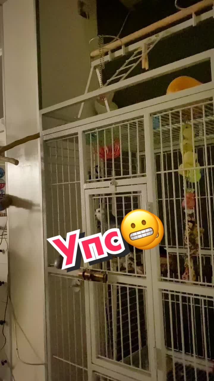 @Жако Кира