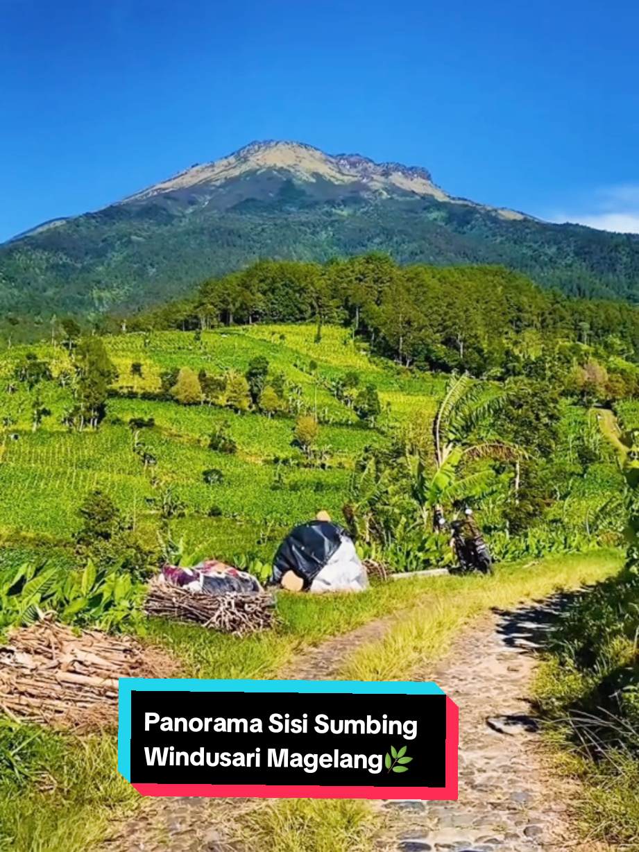 @SISI_SUMBING