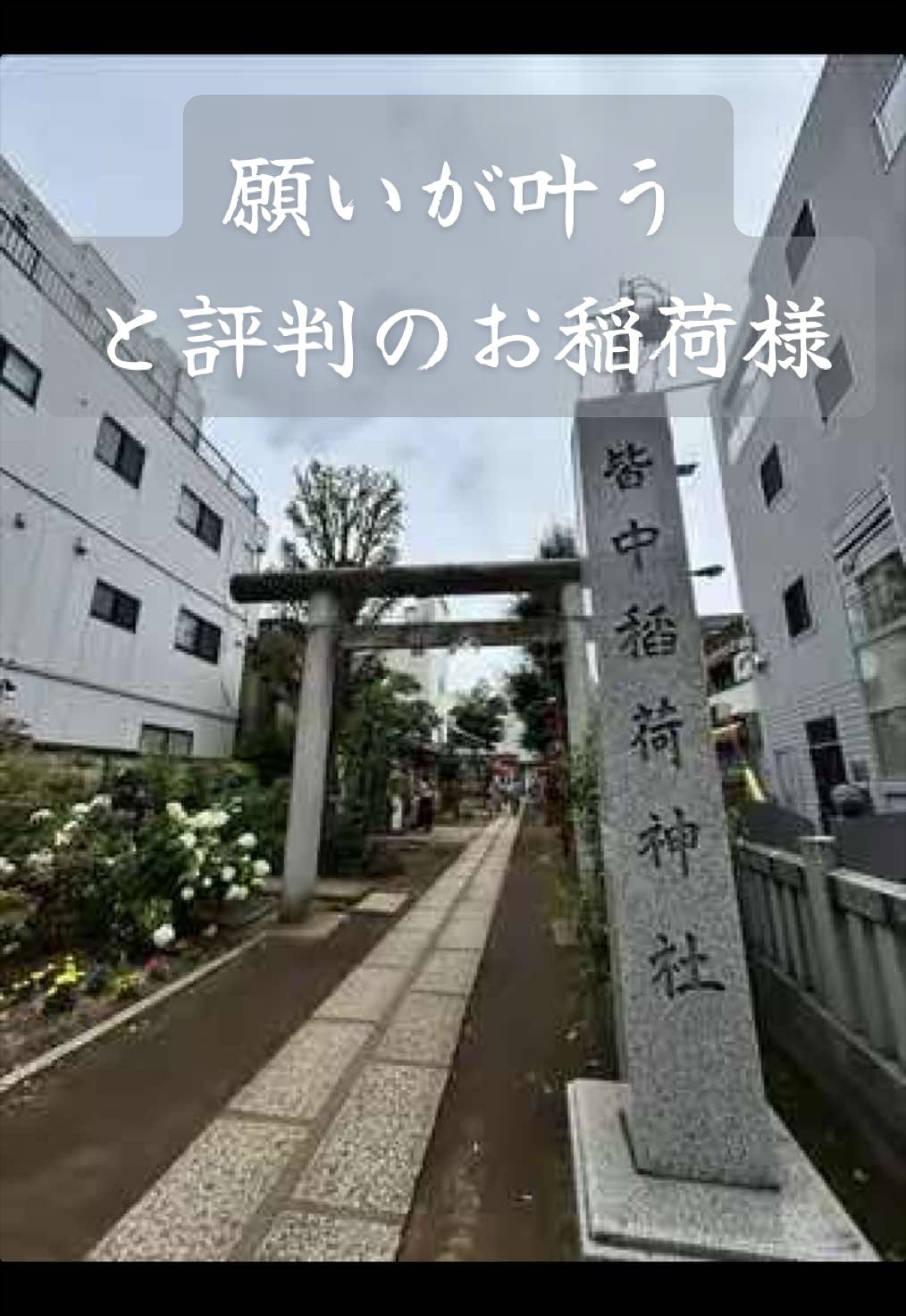 @Shigenjin|神社巡りと音楽