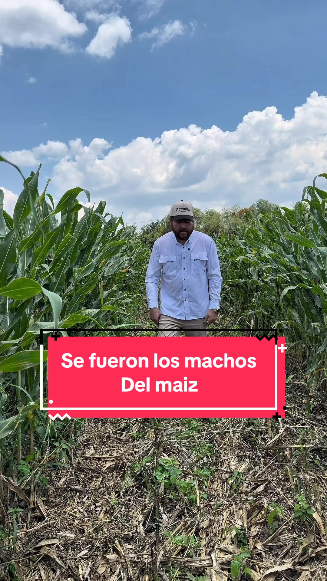 @Tips y Temas Agronomicos