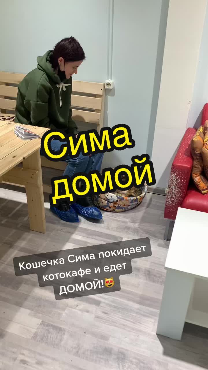 @Антошкин Кот