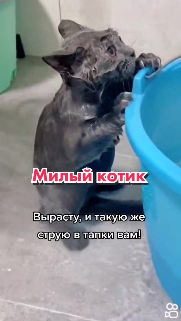@Кот Клякса