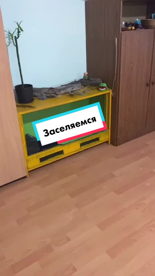 @🐍 ТИГРАнутый 🐍