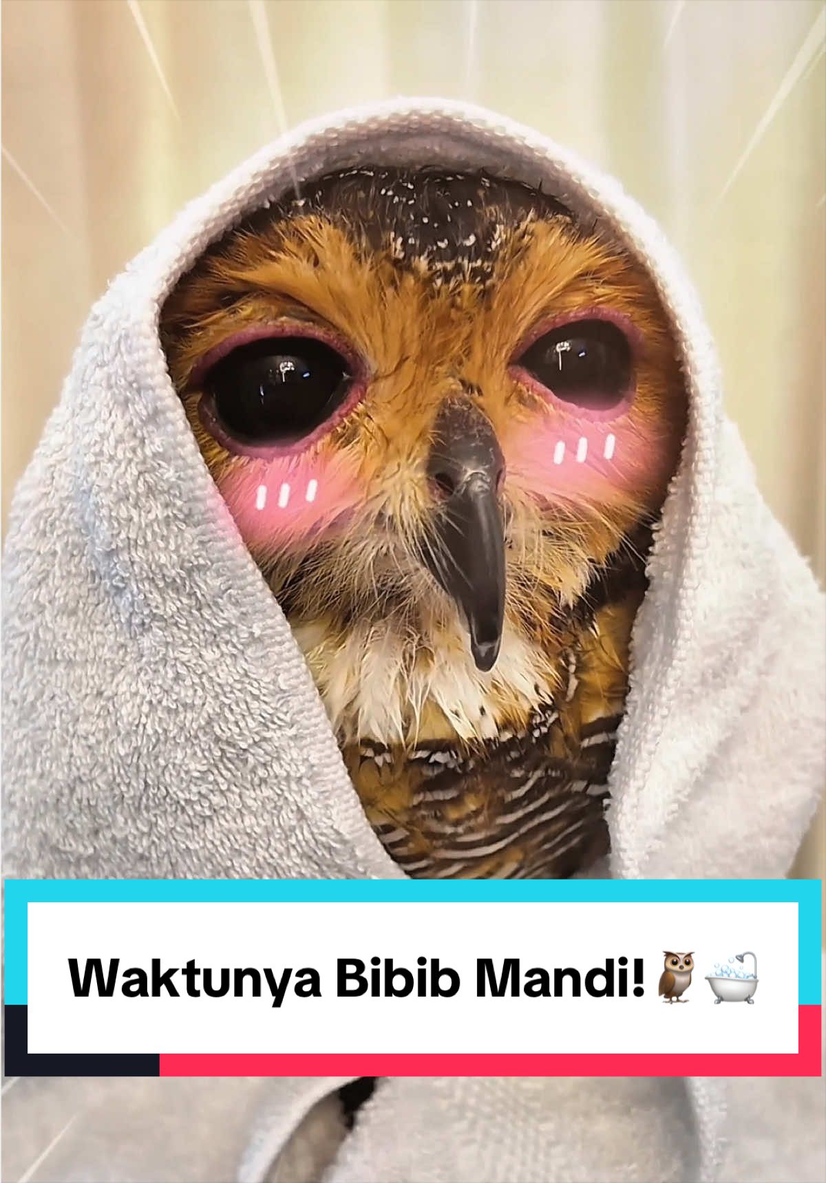 @Bibib Family
