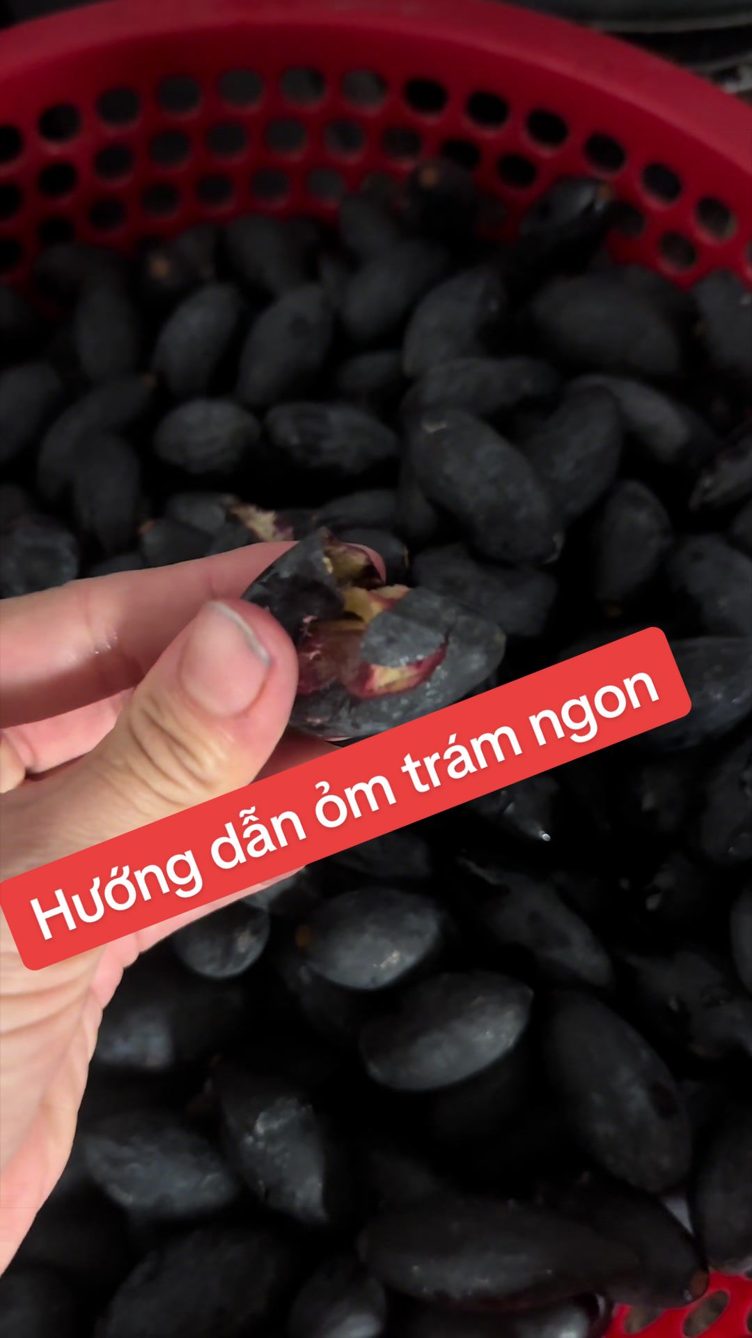 @Nh&agrave; Vườn Vũ Mai