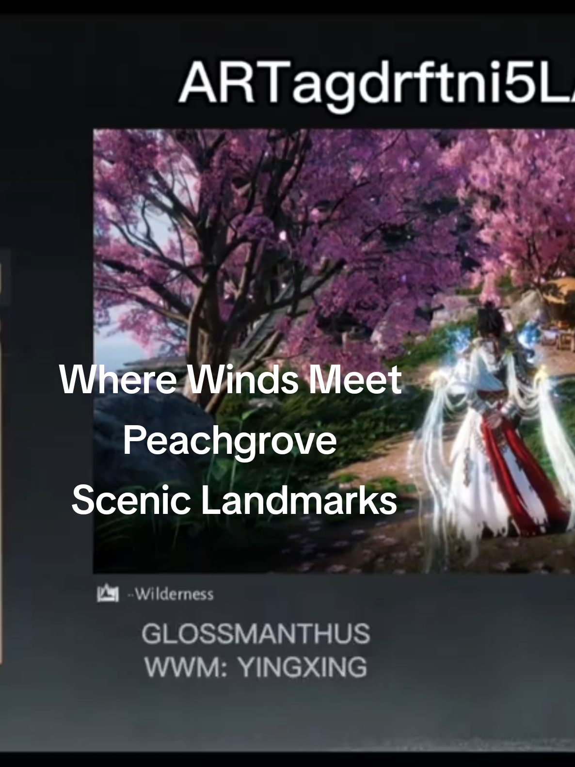 @GLOSSMANTHUS