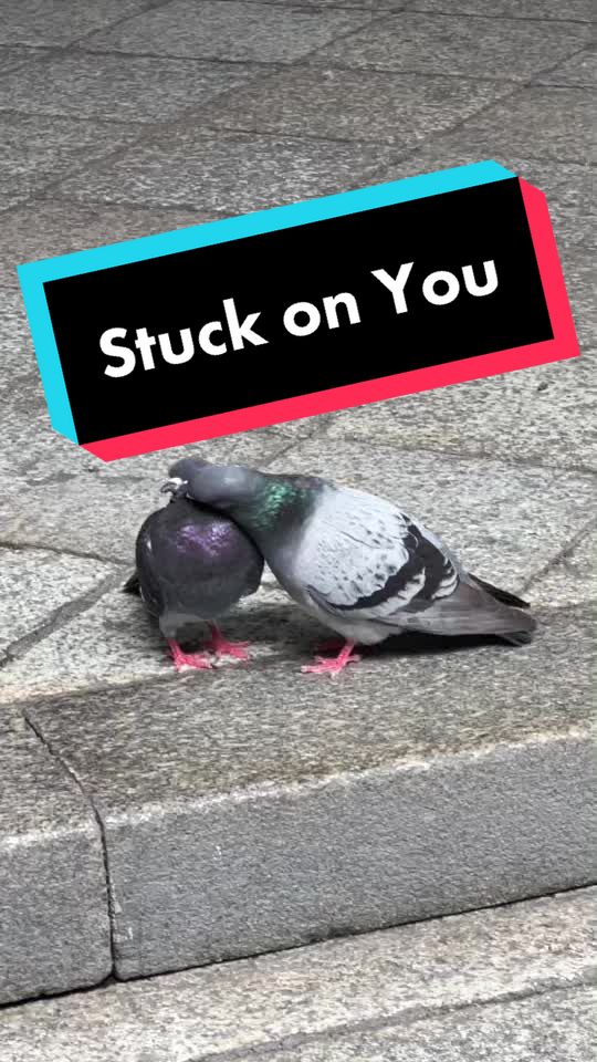 @Dave in Osaka