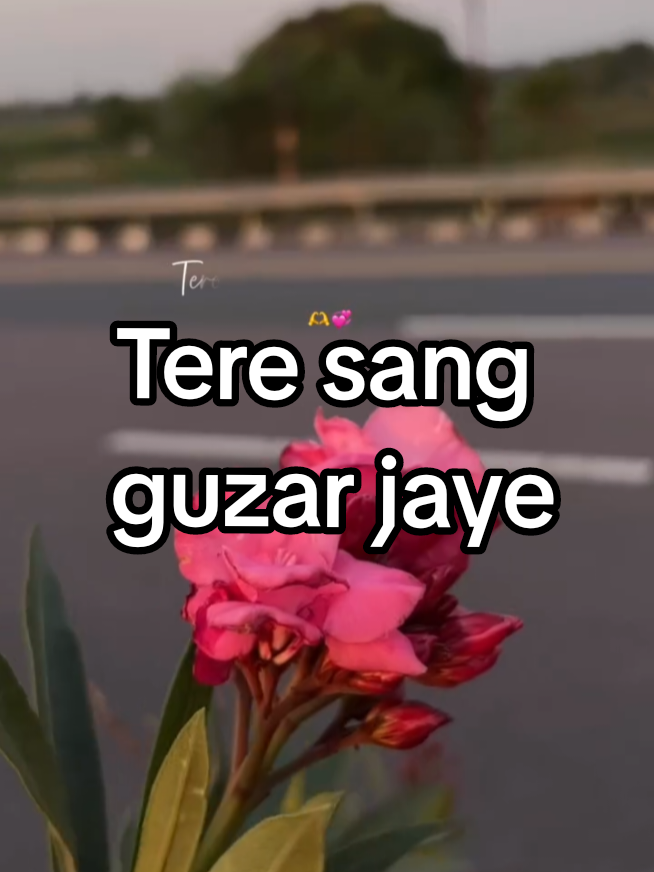 @Aman-Editz 👑👑