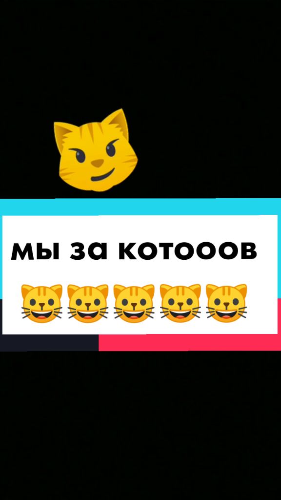 @user13819744735
