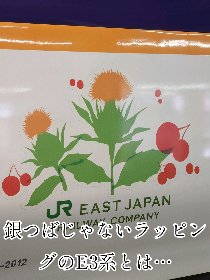 @🚅佐野武琉🚄✨
